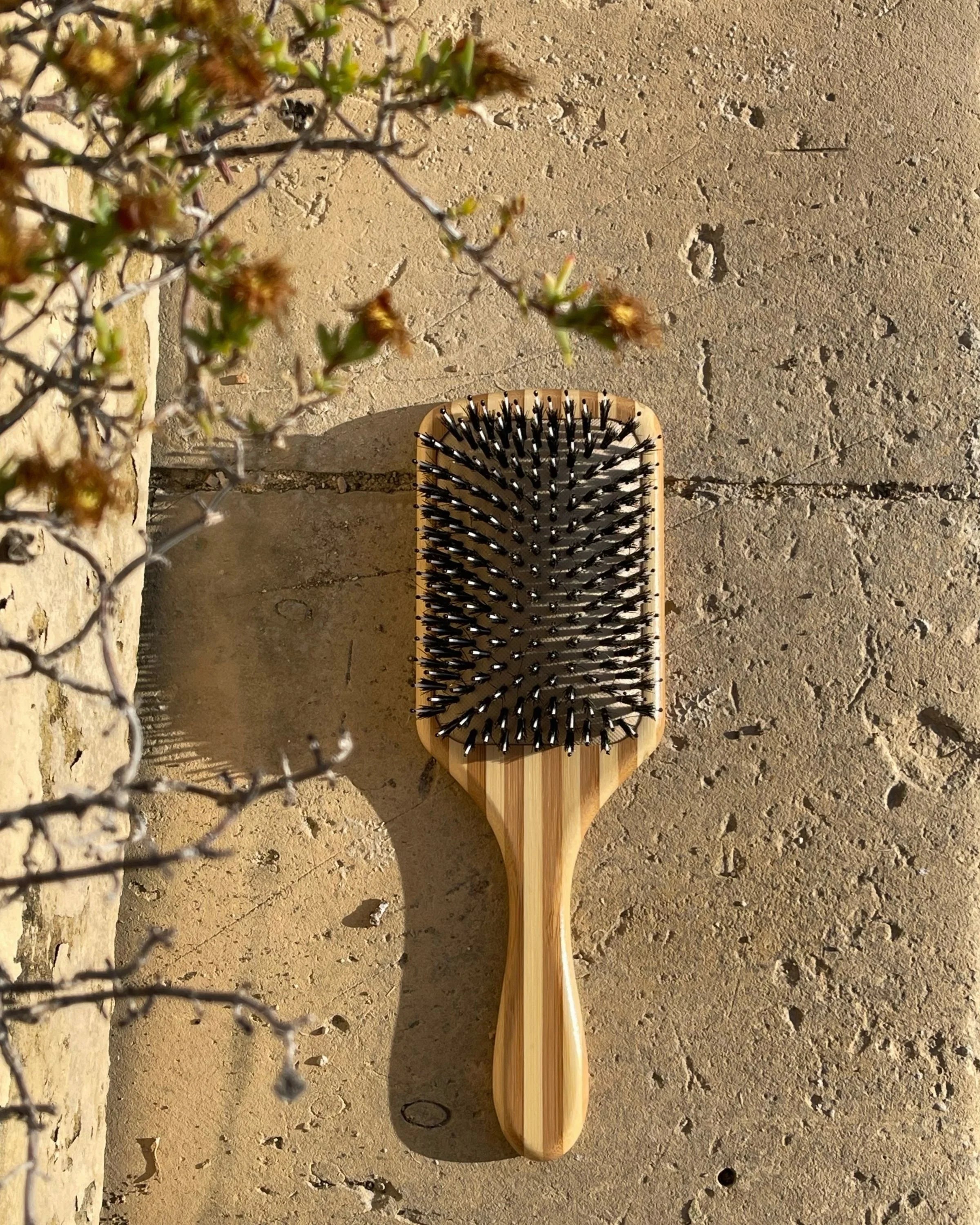 Boar Brush Paddle